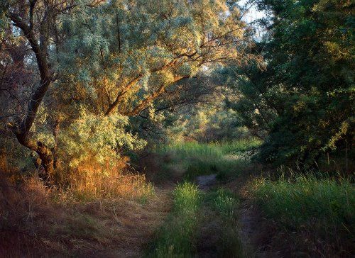 Утро в Анапе