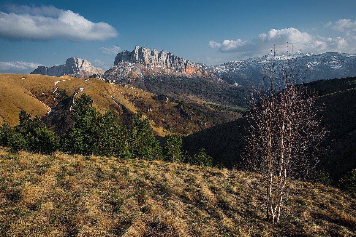 ачешбок, чертовы ворота, адыгея, кавказ горы берёза кавказская, Месилов Сергей