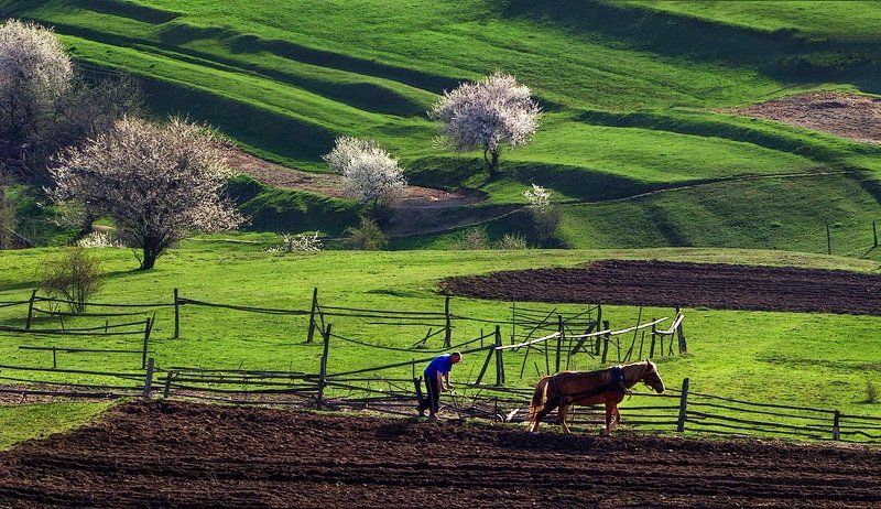 Земля, земля... фото превью