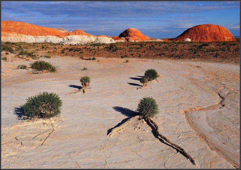 Краски пустыни фото превью