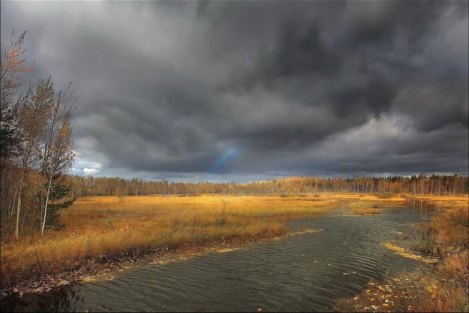 , Аркадий Усиков