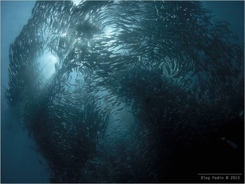 Das Phantom Der Opera фото превью