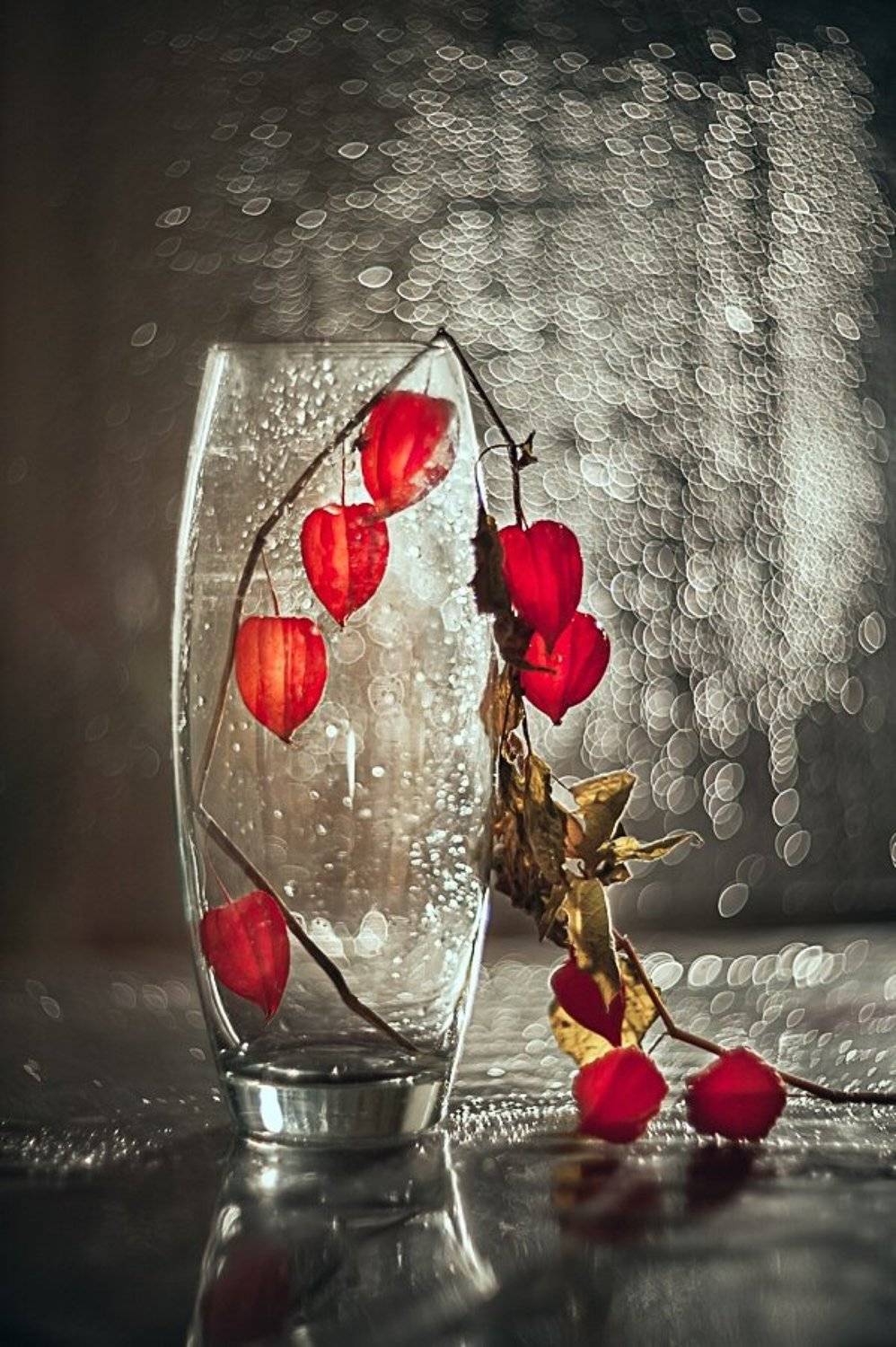 , Владимир Жуков