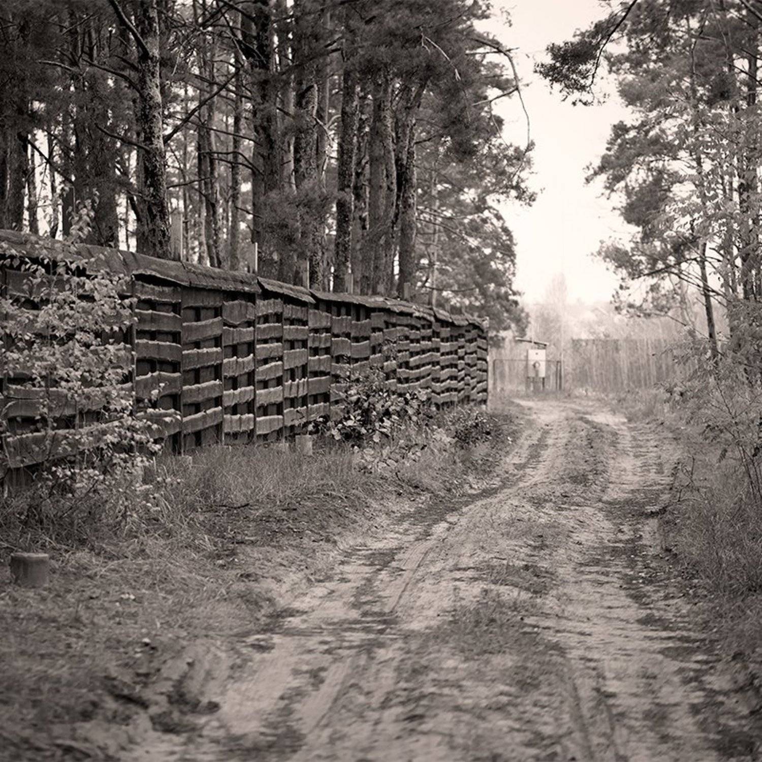 autumn, осень, Alexander Vasilenko