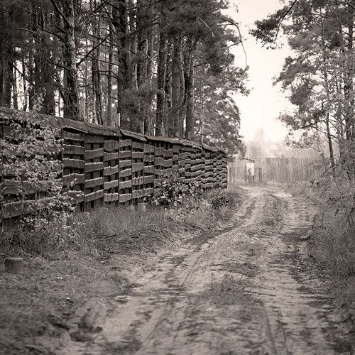 Autumn in b/w