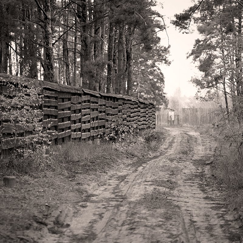autumn, осень Autumn in b/w фото превью