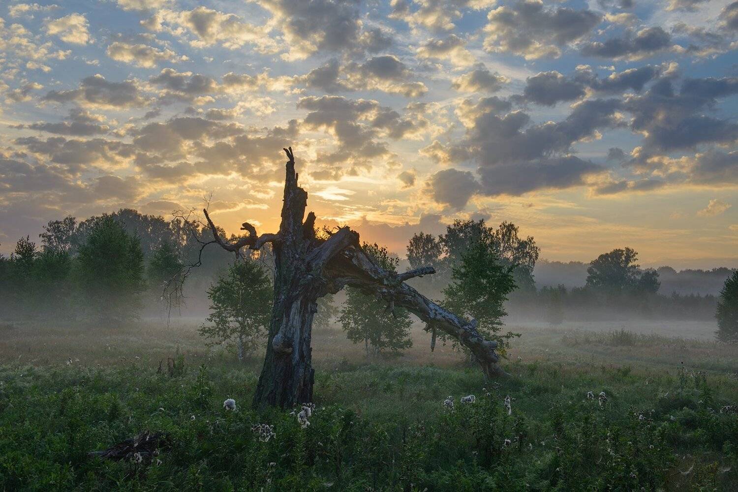 , Кутыгин Эдуард