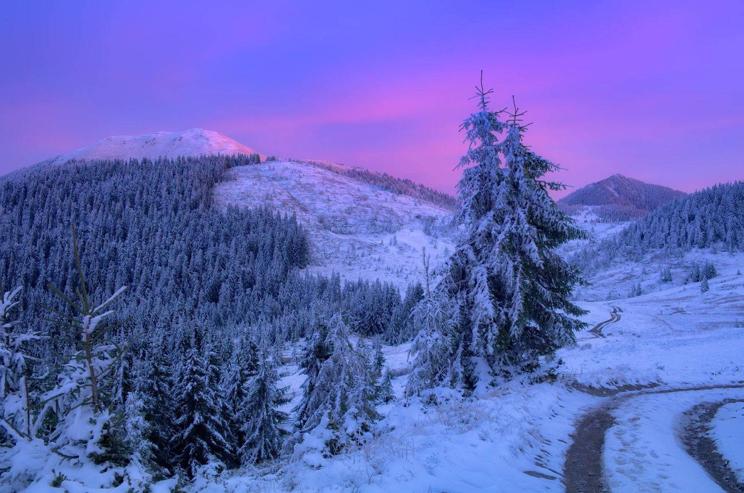 #nature, #туман, #лес, #oсень, #украина, #карпаты, #пейзаж, #закат, #туман, #солнце, #свет, #mountain range, #mountains, #туризм, #лес, #nature, #природа,, Леонид Морозов