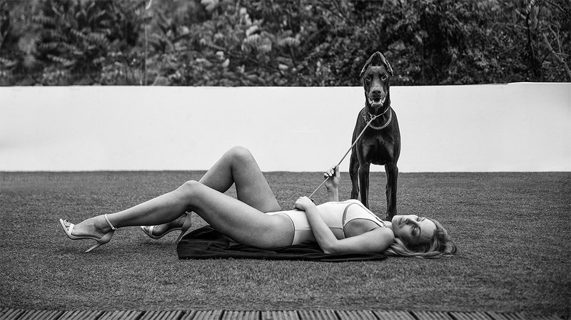 D.O.B.I. фото превью