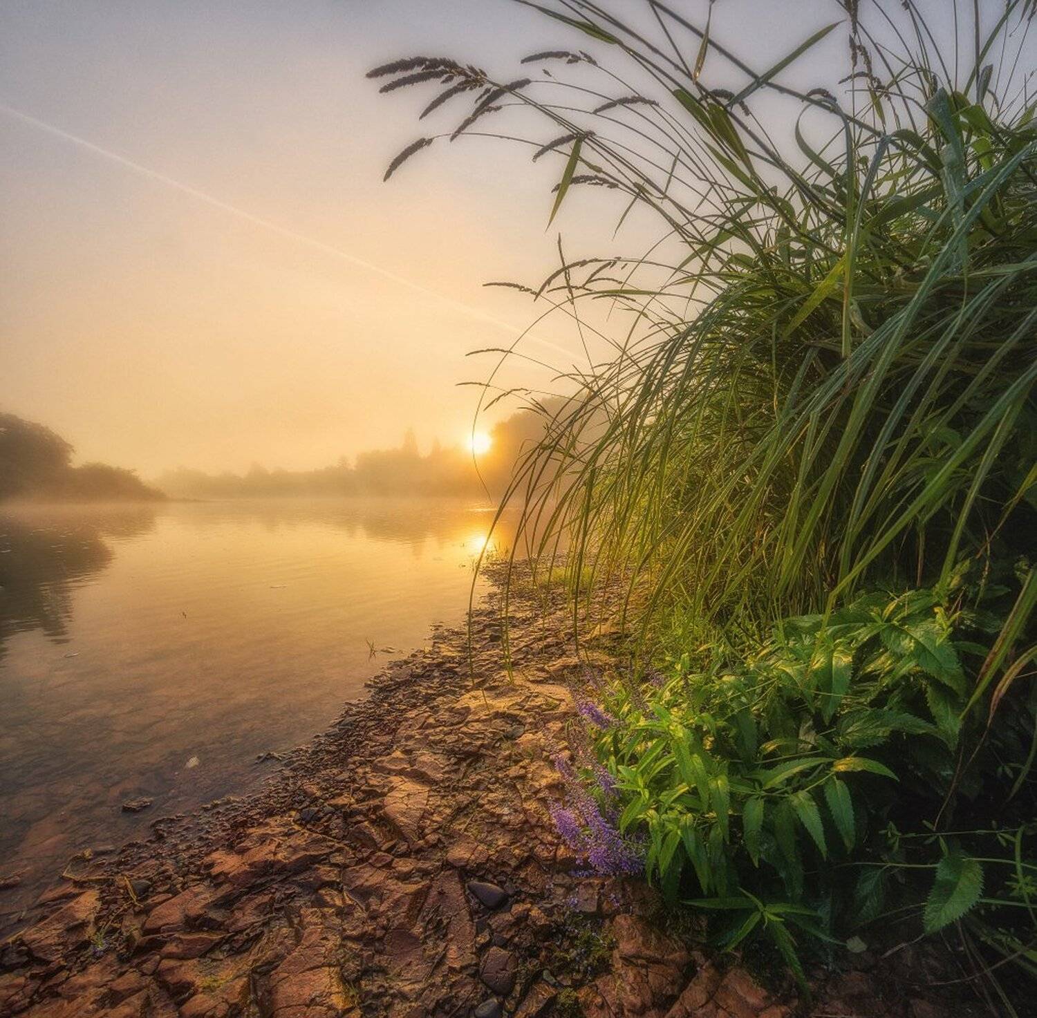 , Устюжанин Михаил