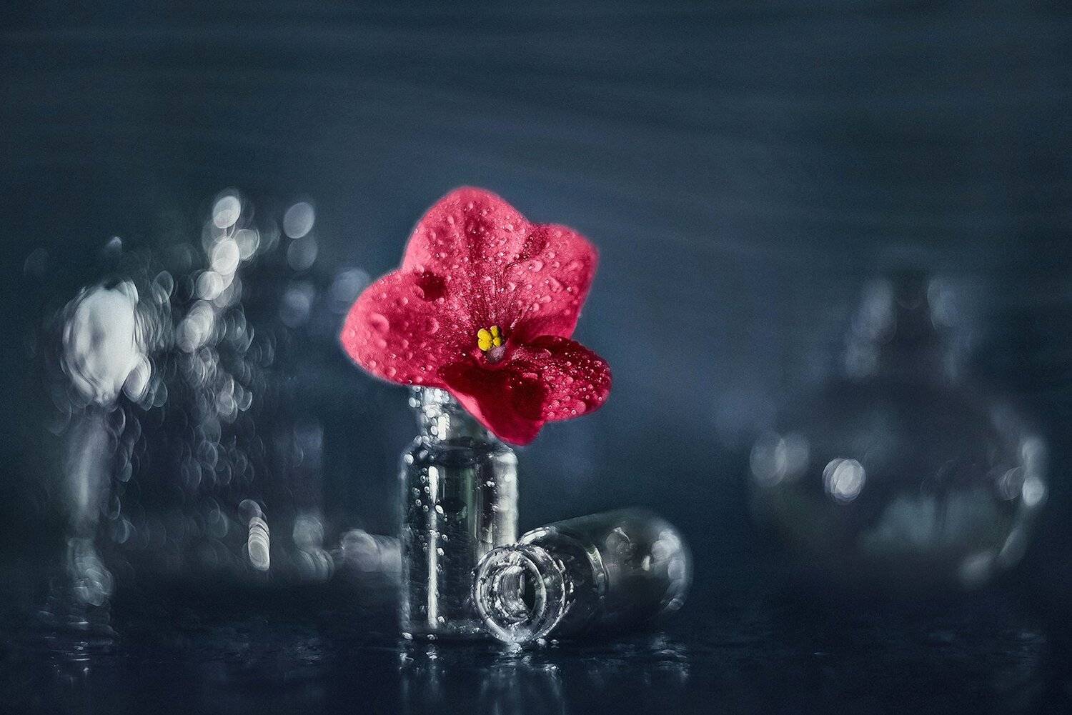 , MVO (Марк Орлов)