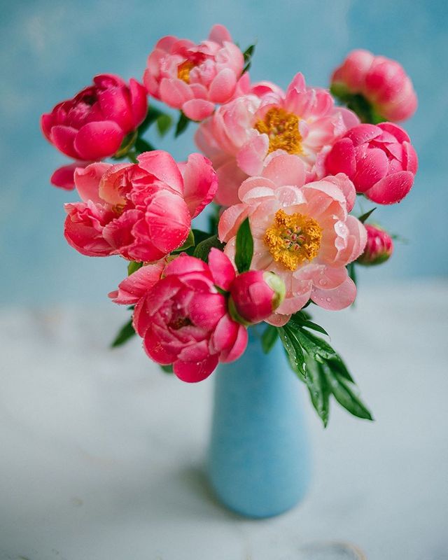 лето, пионы, свет, розовый, желтый, букет  фото превью