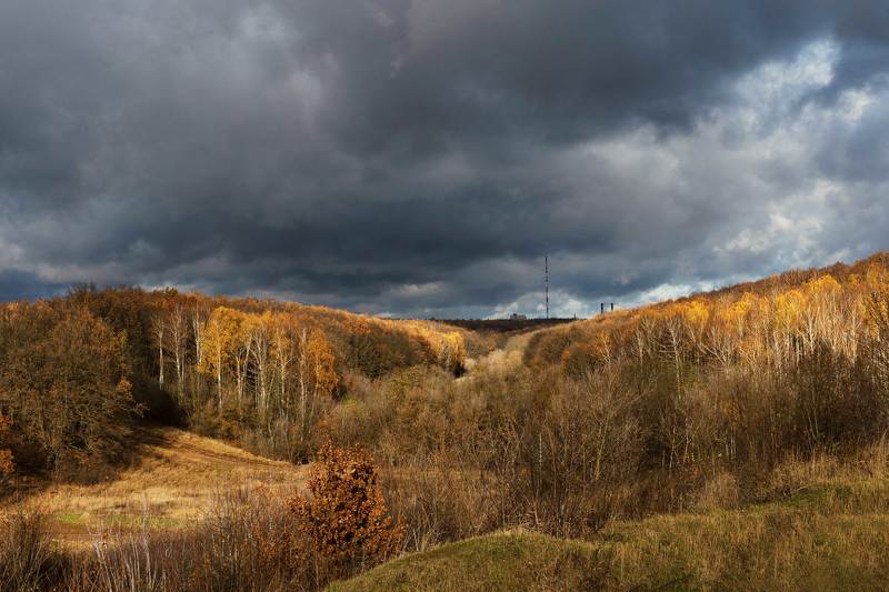 Урочище Крутой Лог.Курск фото превью