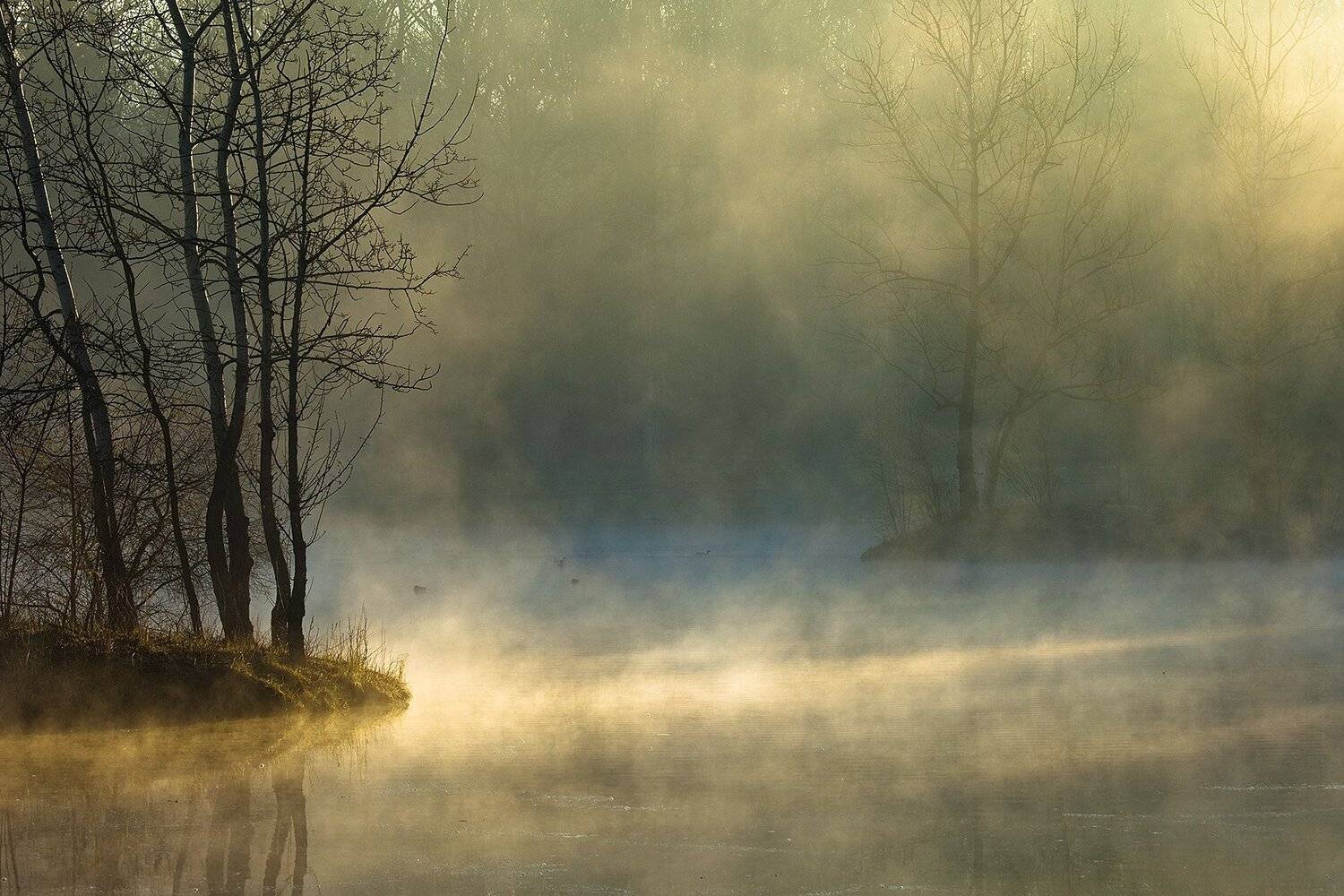 , Robert Adamec