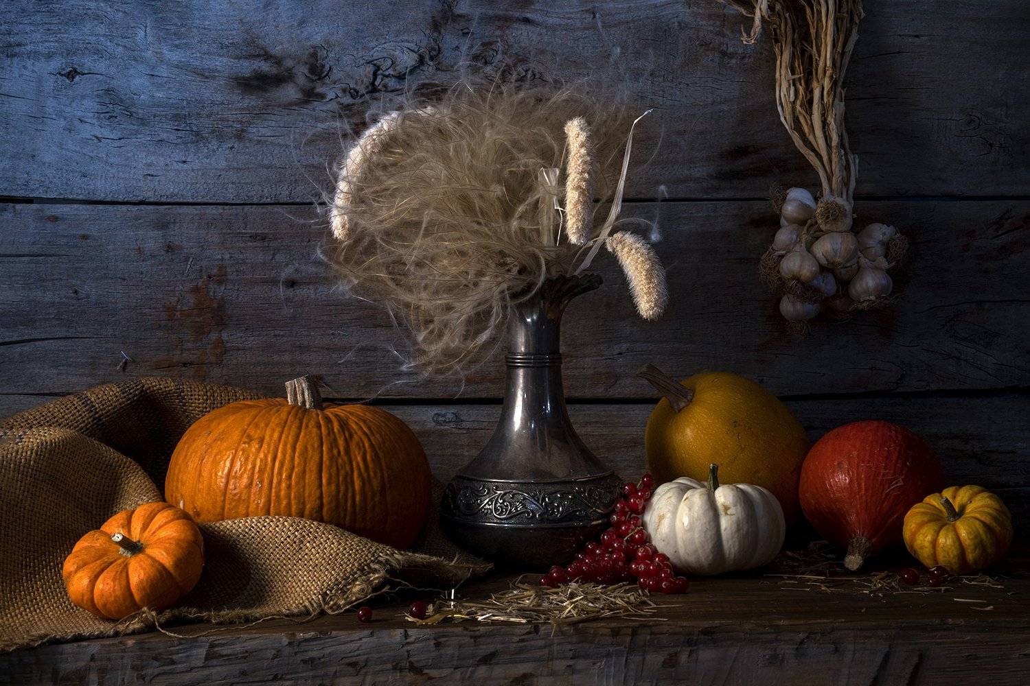 натюрморт, тыква, облепиха, Pumpkin, FATIH GONUL