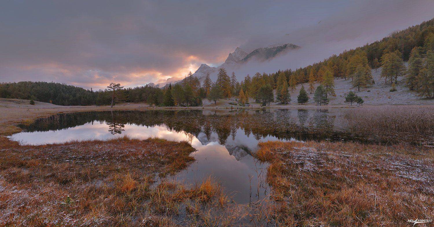 swiss, Матвеев Николай