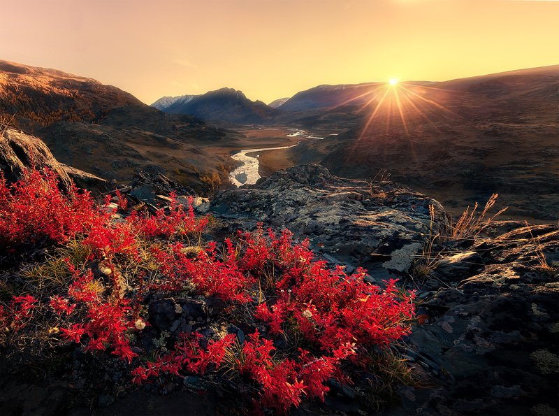 Алтай фото превью