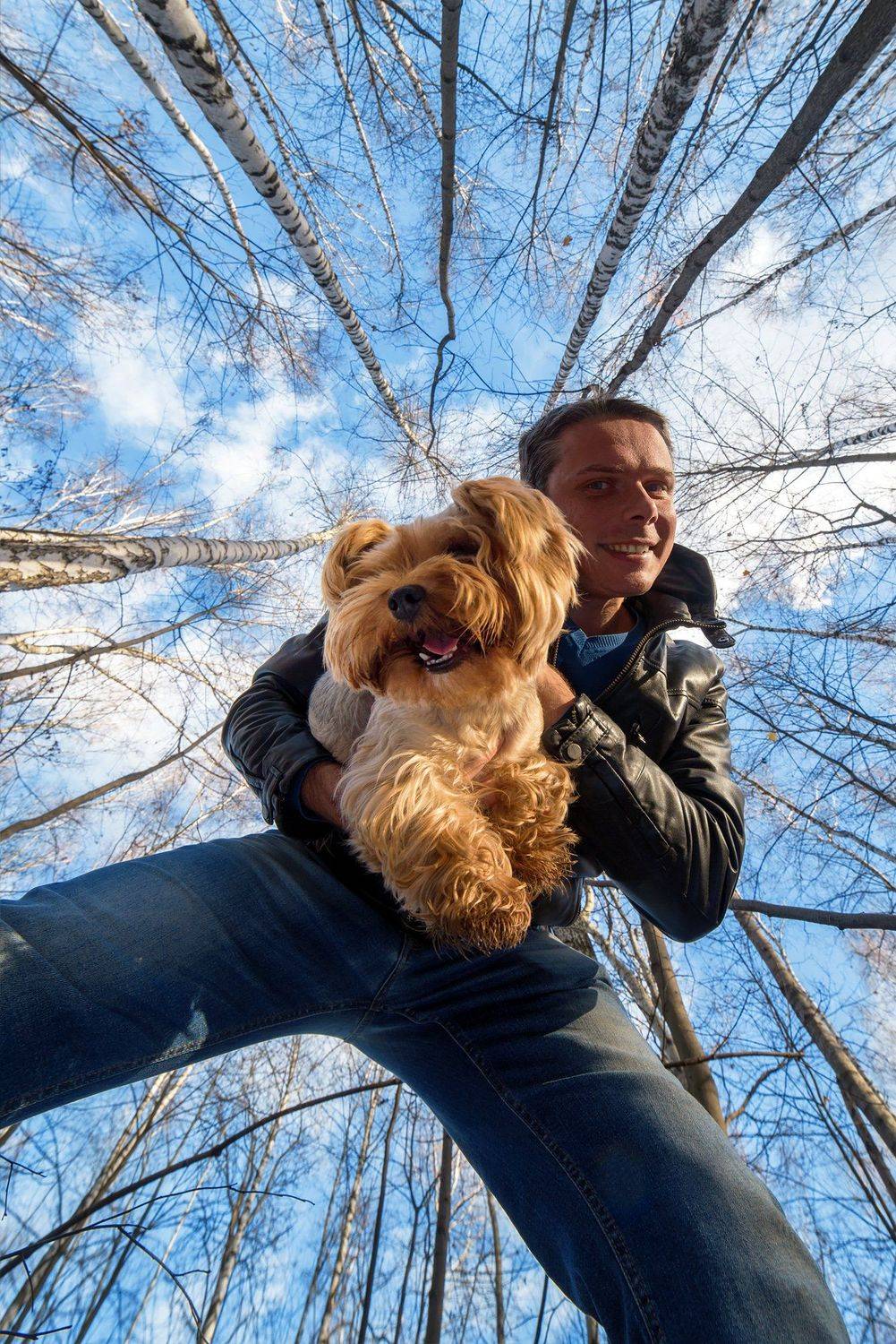 селфи, я, йорк, собака, лес, осень, Сергей Прозвицкий