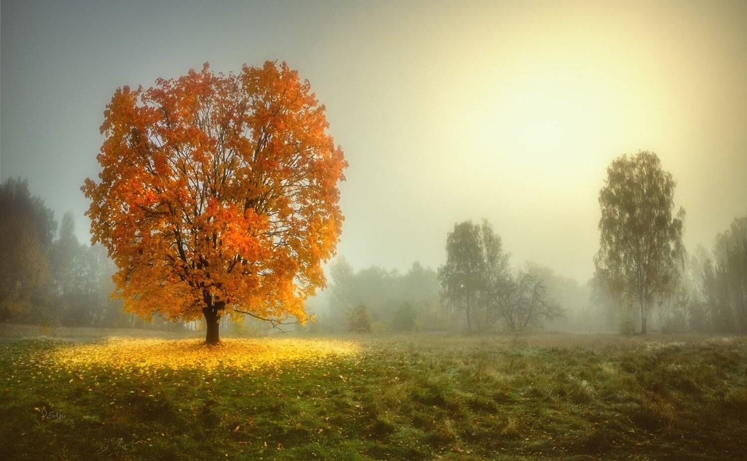 Беларусь, Серж Домбровский