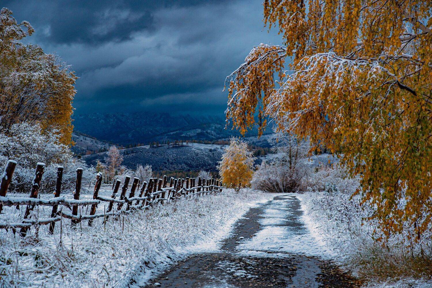 алтай. осень. горы., Евгений Дроботенко