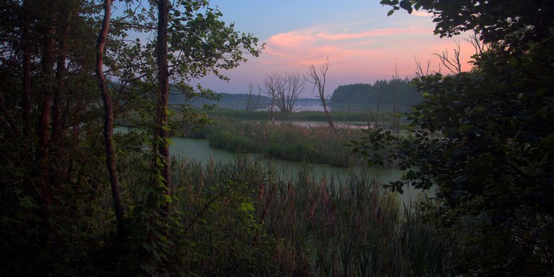 Июнь. Вечерний взгляд на залив р.Клева фото превью