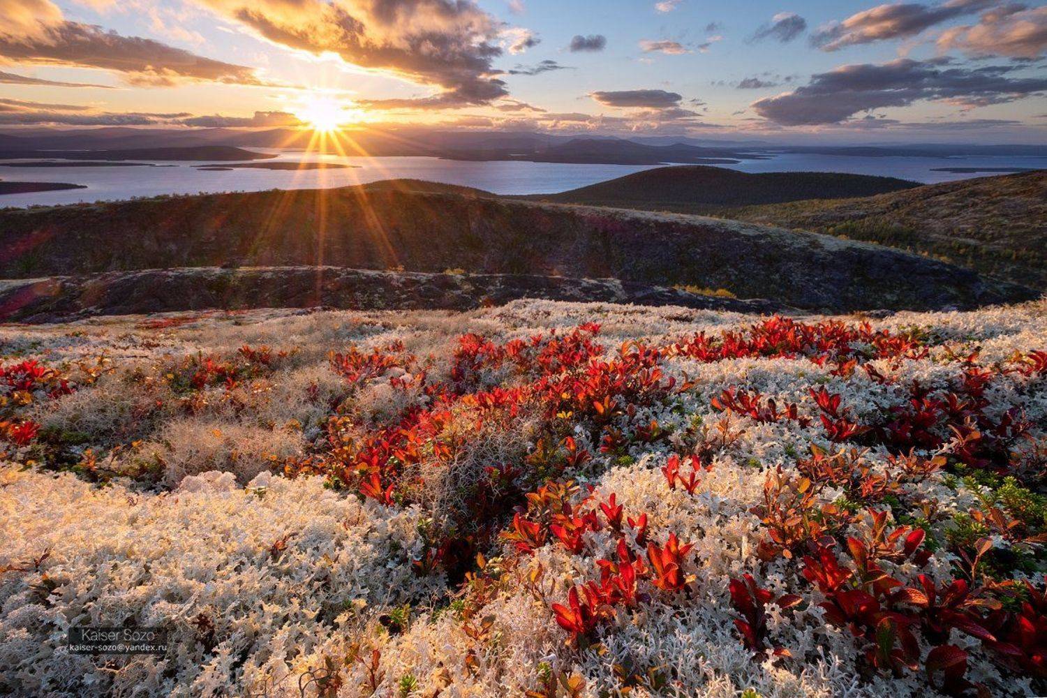 россия, хибины, мох, имандра, Kaiser Sozo