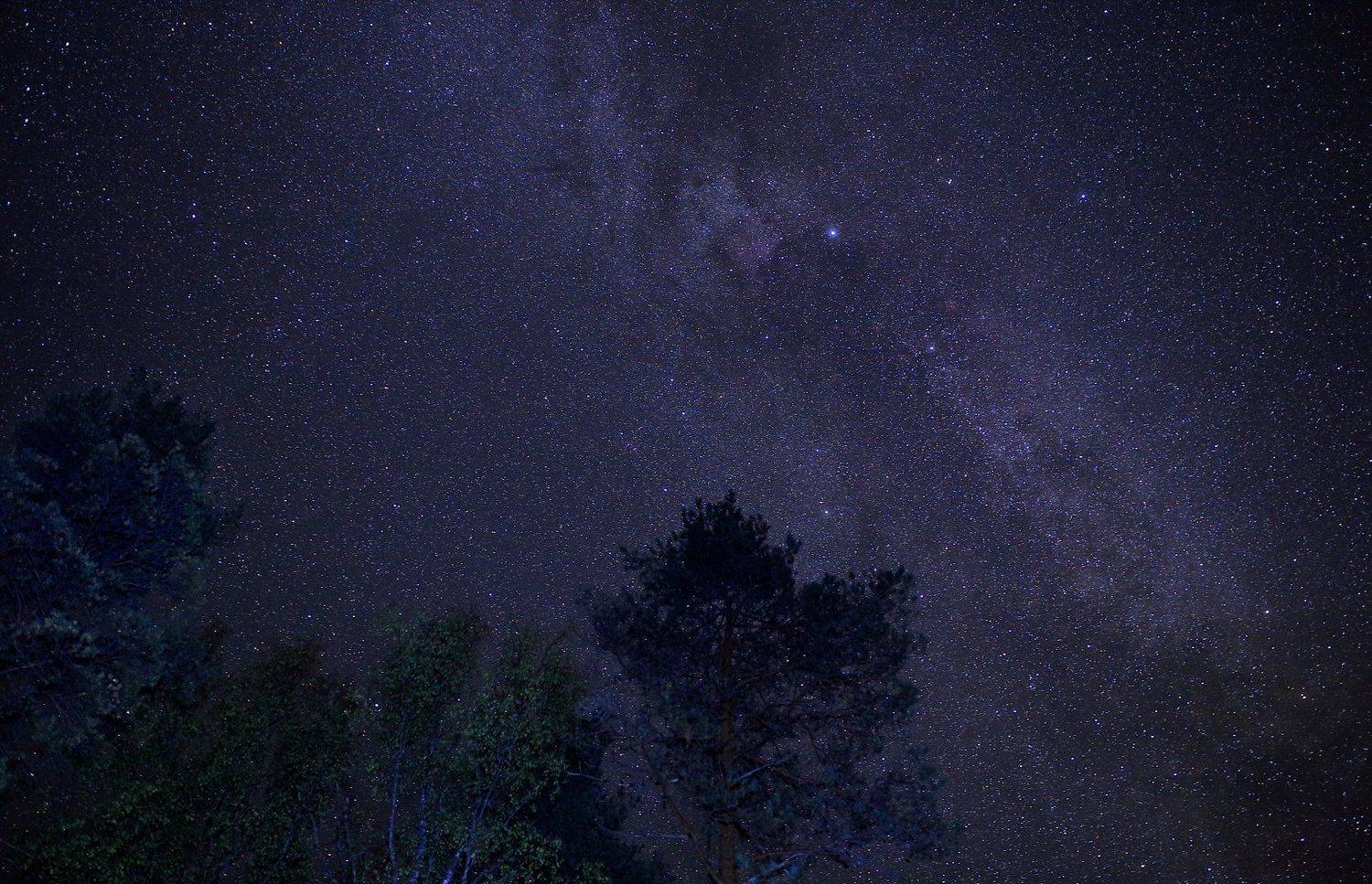 денеб, звёзды, ночь, созвездие, лебедь, Александр Зорин