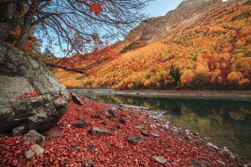 Домбайская осень фото превью