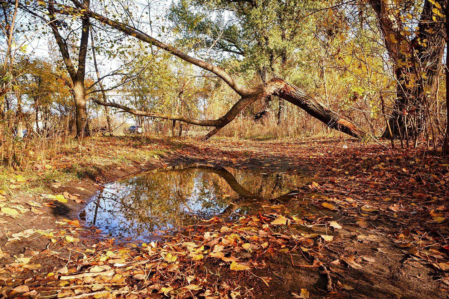 , Марина Соколова