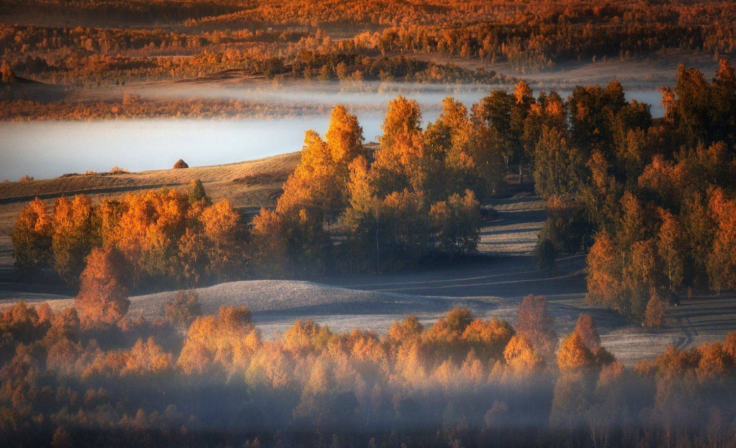 , Татьяна Бирюкова