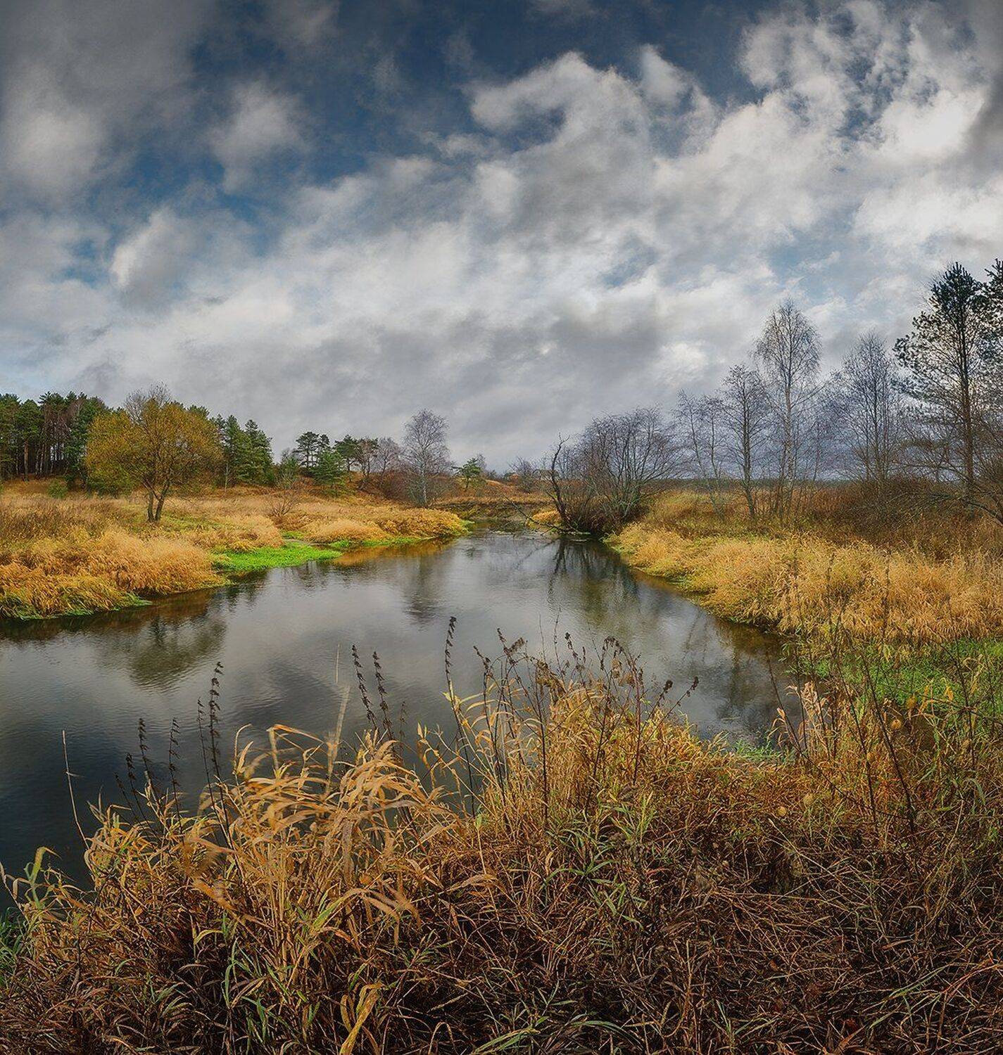 , Николай Андреев