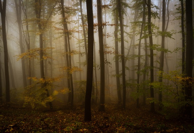 Волшебная гора фото превью
