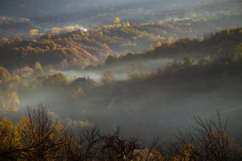 Titesti фото превью