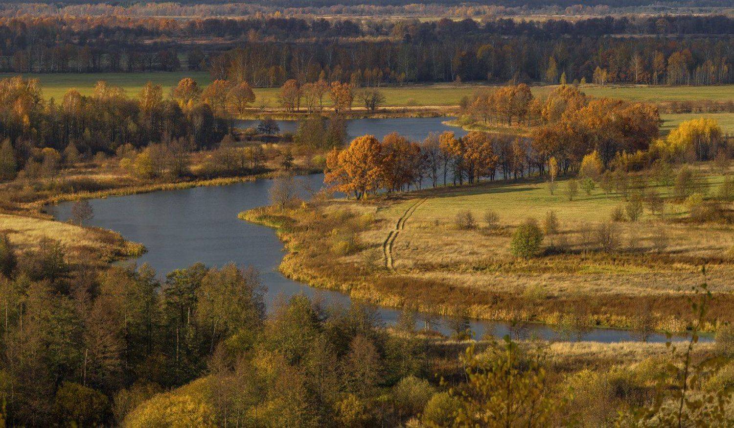 осень октябрь венец быковка текмаш, Дмитрий Алексеев
