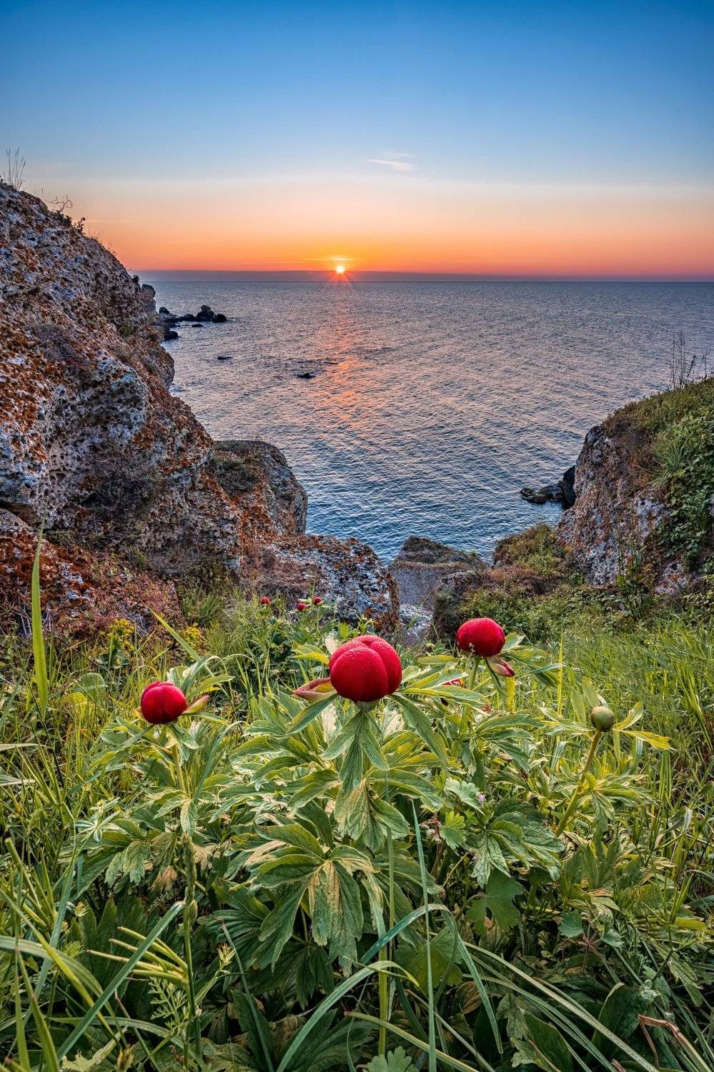 , Пламен Куденко