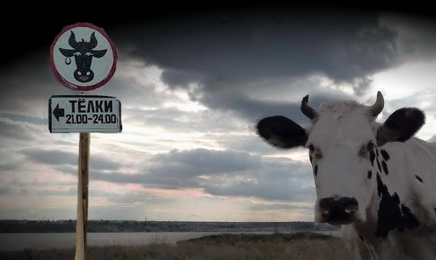 одесса, Сергей Кошелев