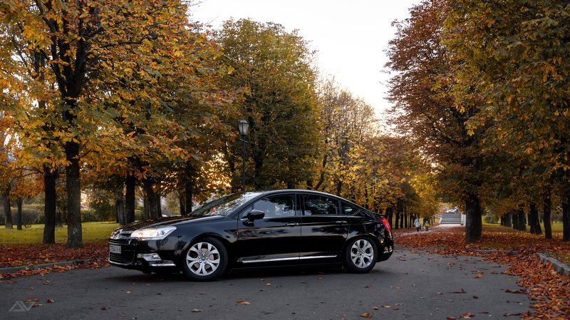 *** фото превью