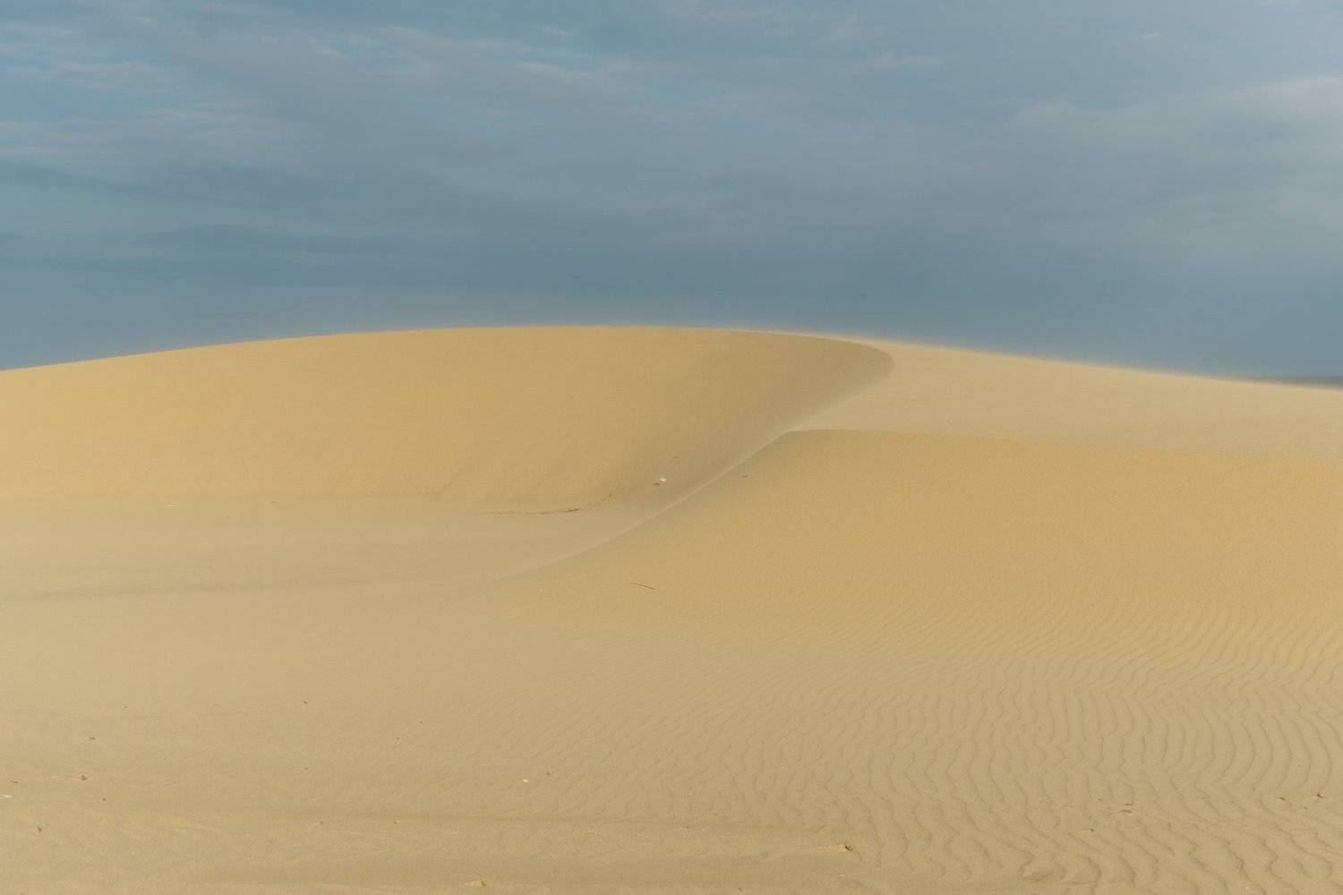 , Татьяна Рутковская