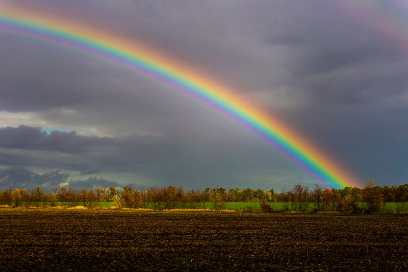 После дождя фото превью