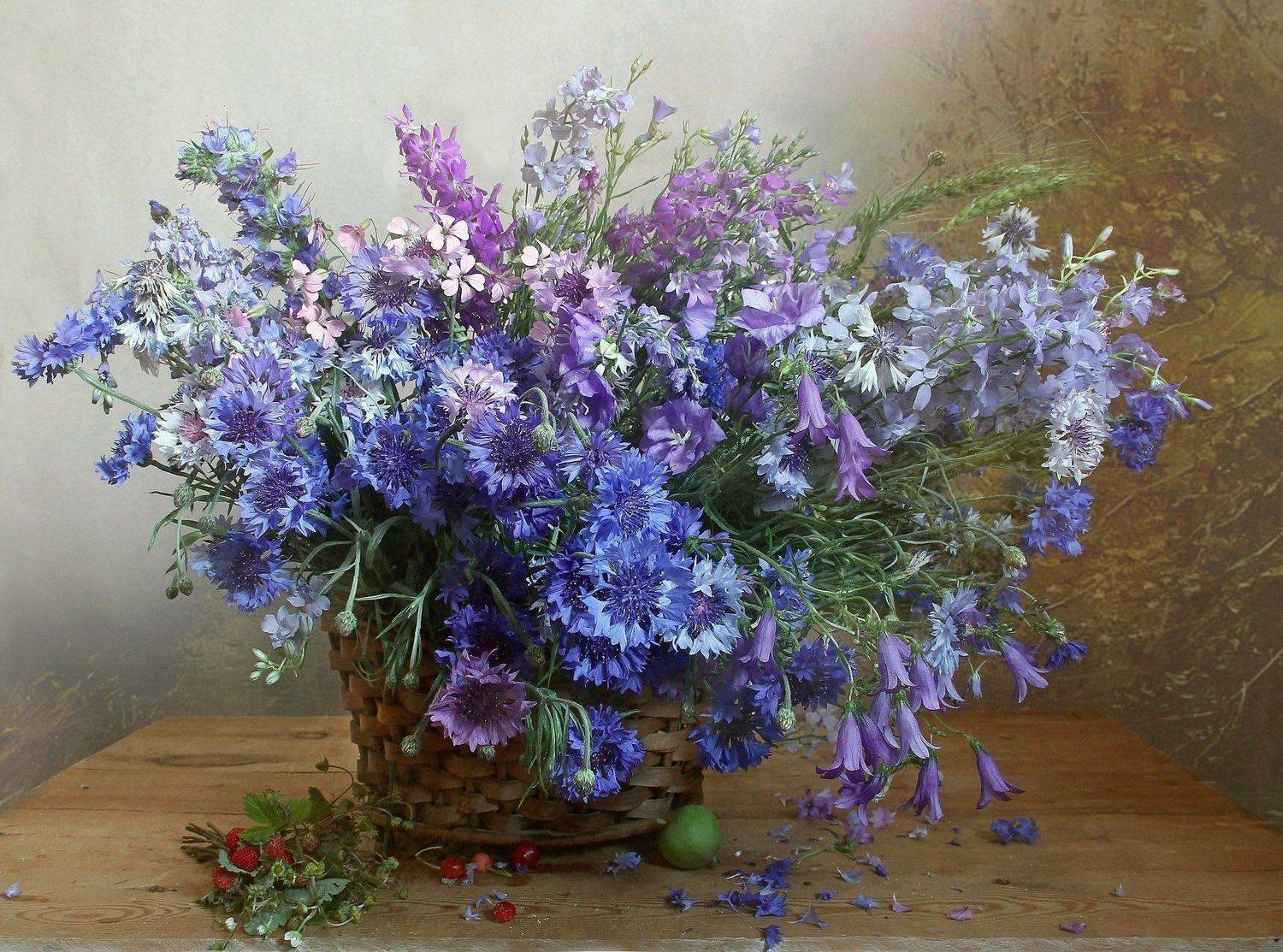 цветы, натюрморт, марина филатова, васильки, Марина Филатова