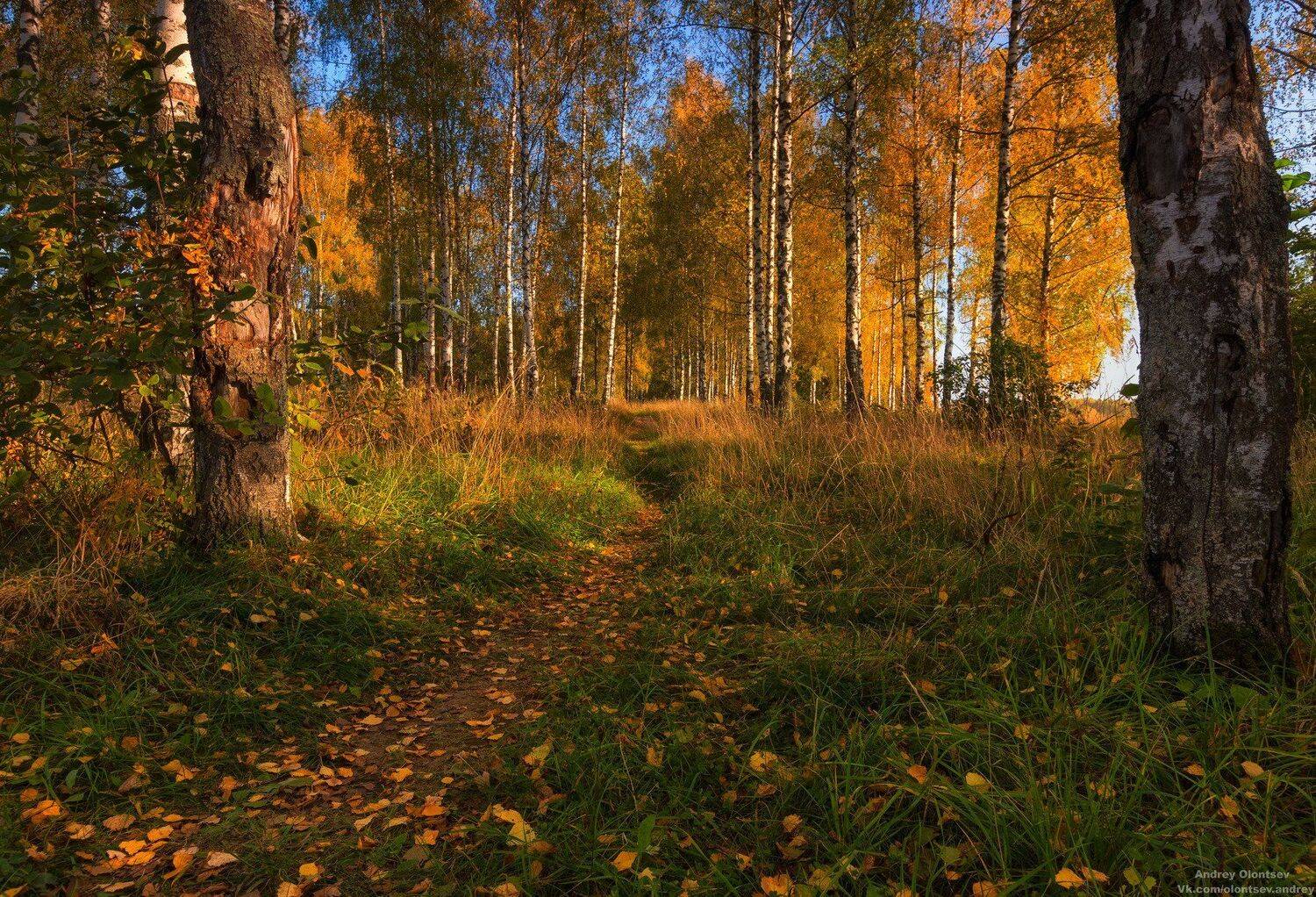 солнце, россия, рассвет, природа, подмосковье, погода, пейзажи, пейзаж, отражение, наукоград, красота, дубна, вода, весна, weather, water, spring, russia, reflection, naukograd, nature, moscow, landscape, dawn, canon, dubna, beauty, Андрей Олонцев