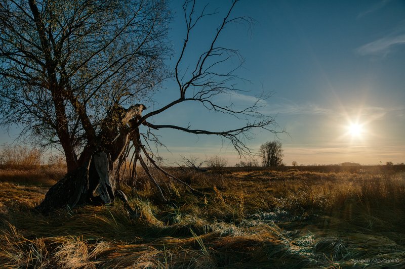 пейзаж, закат, осень Звезда по имени солнце фото превью