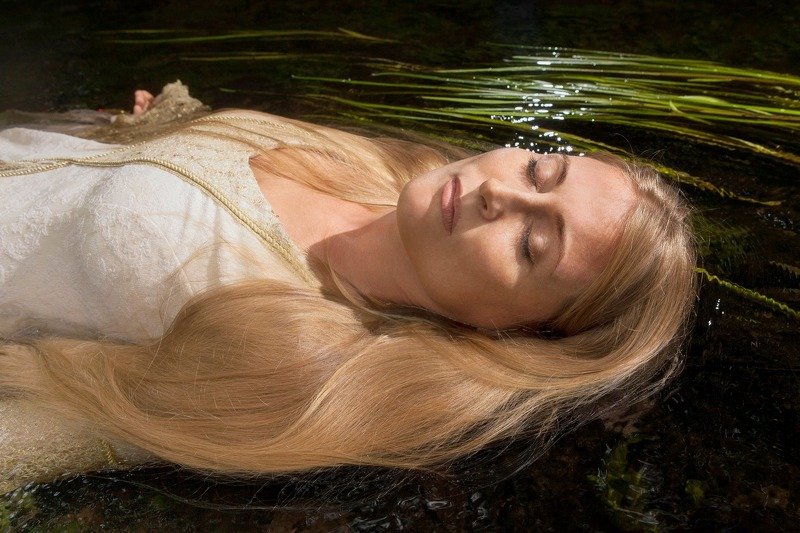 Silent secret фото превью