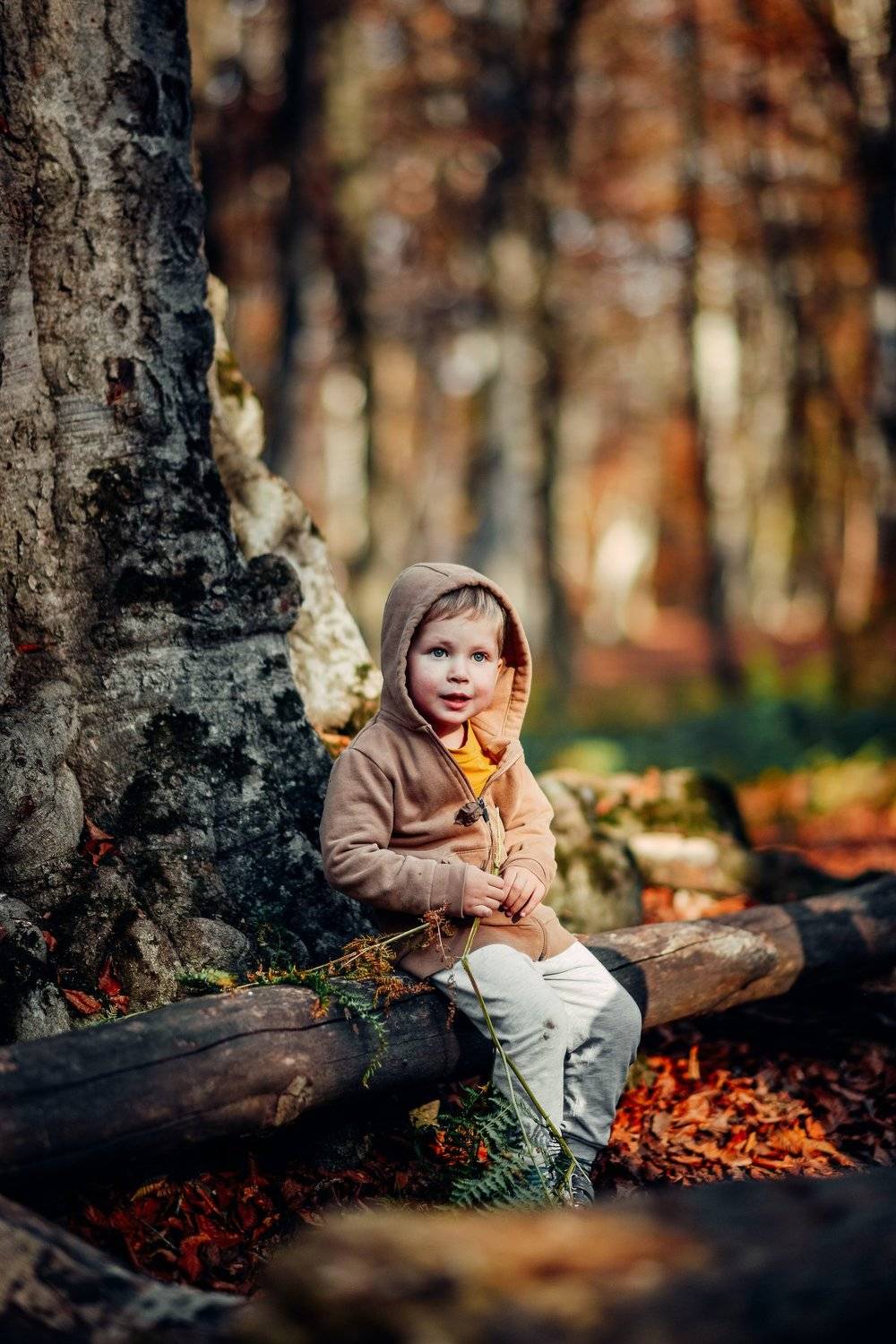 kid,autumn,georgia,tbilisi,nikon,d600,portrait, Neiman Miho