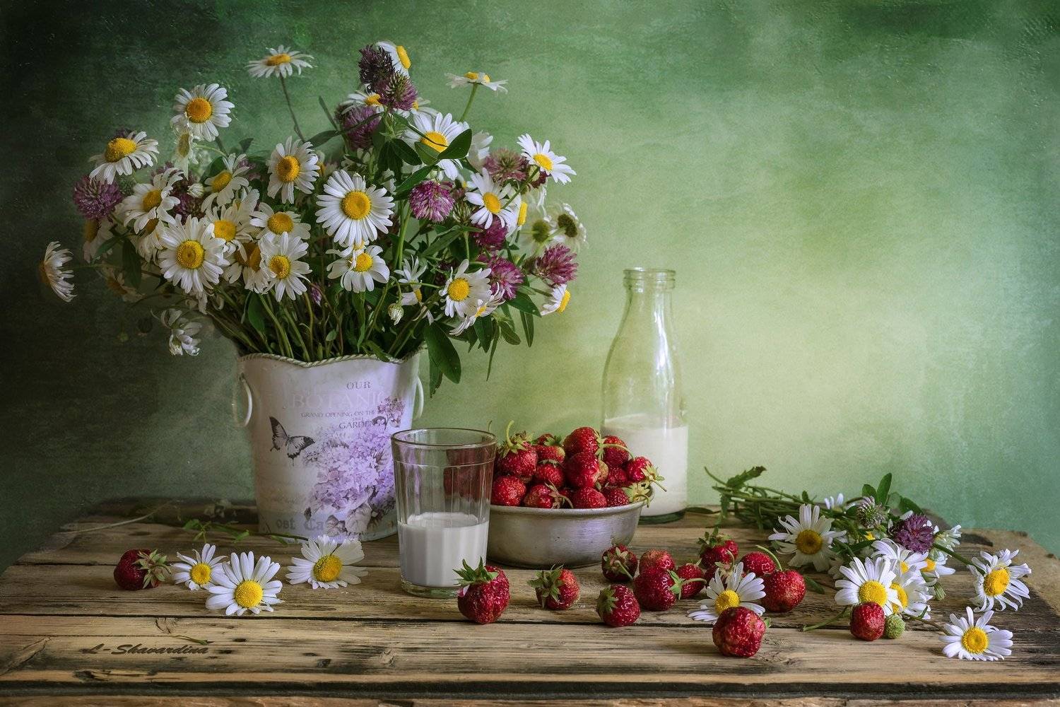 , Елизавета Шавардина