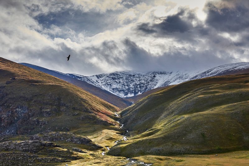 Круговорот воды в природе фото превью