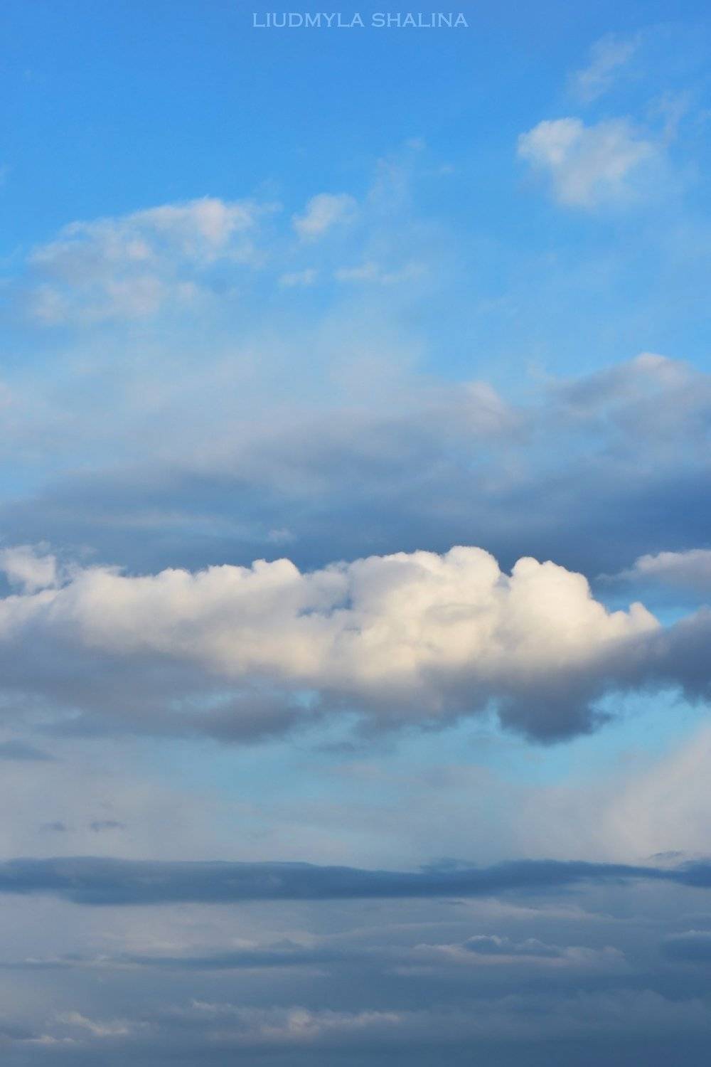 , Людмила Шалина