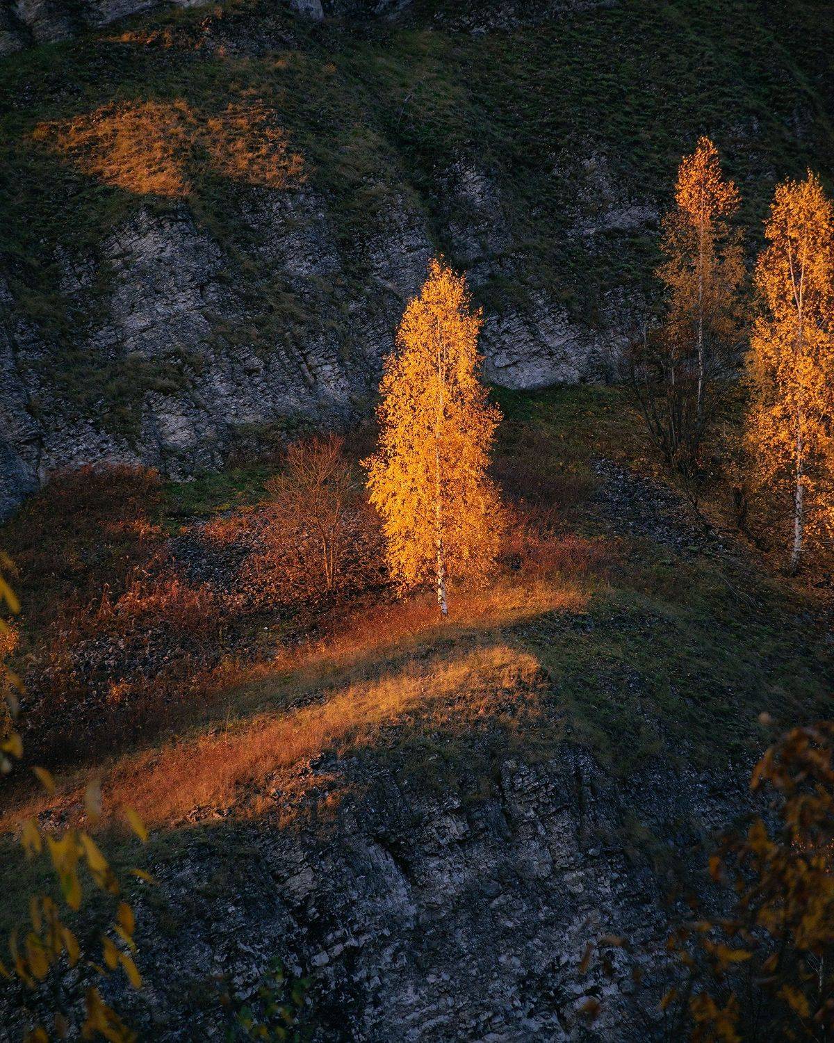 пермский край, осень, рассольная, россия, урал, береза, вечер, закат, пейзаж, скала, Кирилл Кузнецов