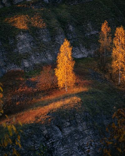 В лучах заката