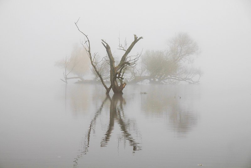 ...  фото превью